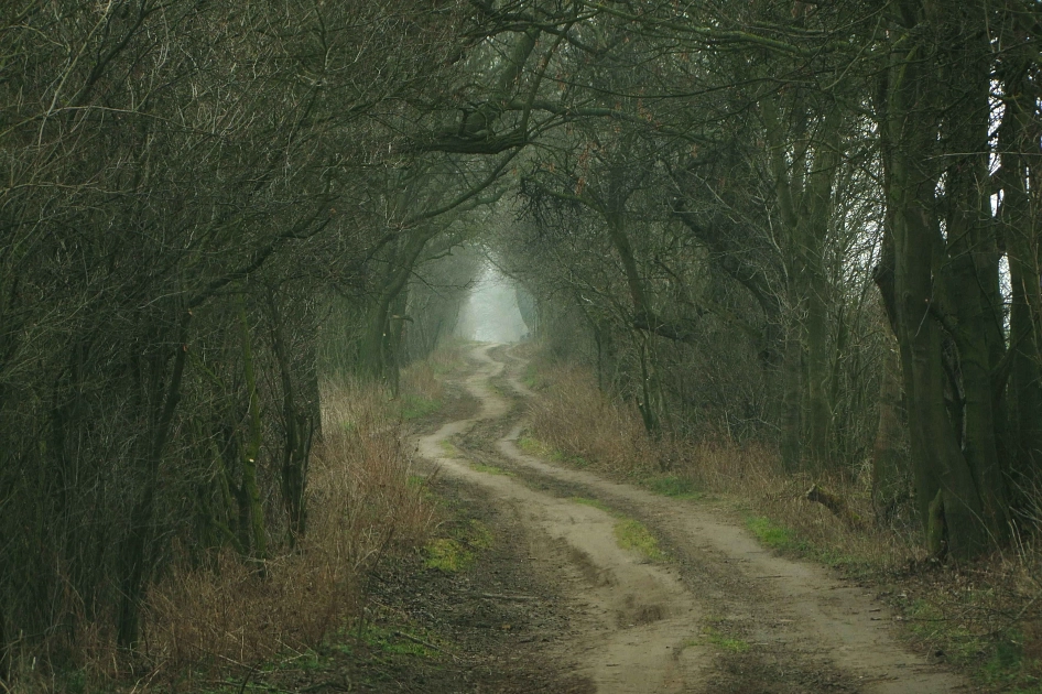 Feldweg bei Ihlow