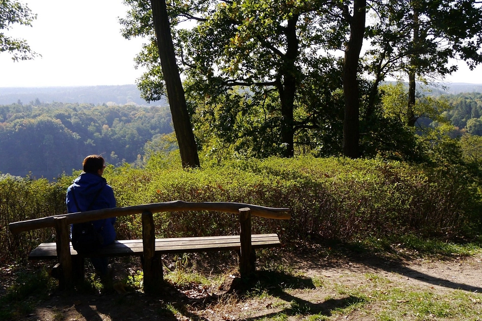 Aussicht vom Dachsberg
