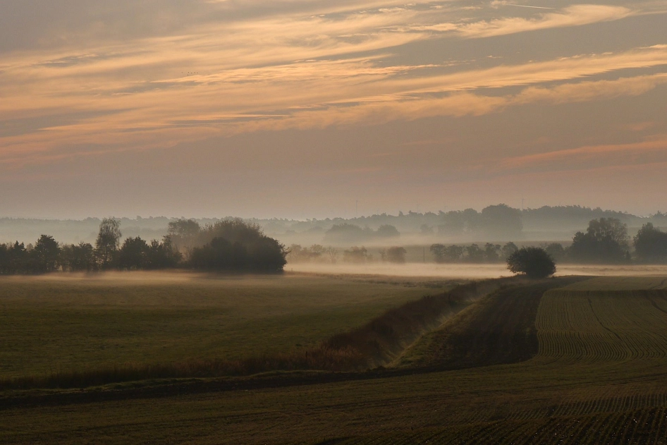 Morgenstimmung