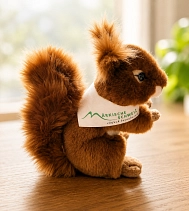 Eichhörnchen Puschel © Amt Märkische Schweiz