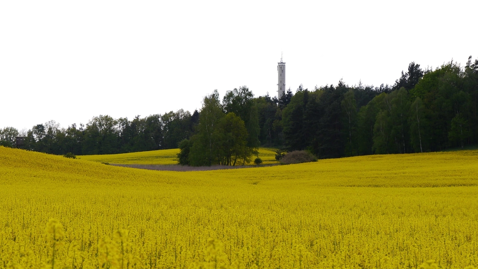 Krugberg im Raps