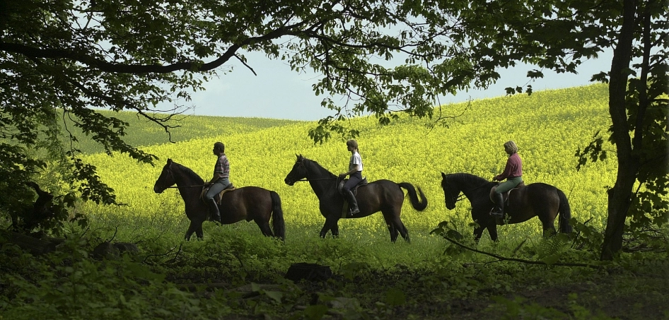Reiter in der Märkischen Schweiz&nbsp;&copy;&nbsp;Amt Märkische Schweiz