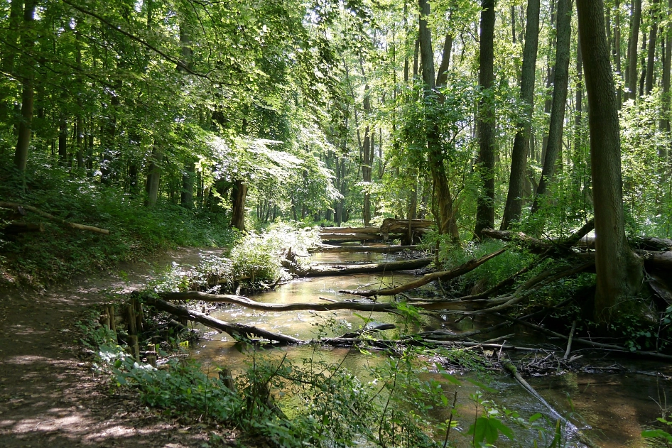 Stobbertal im Sommer