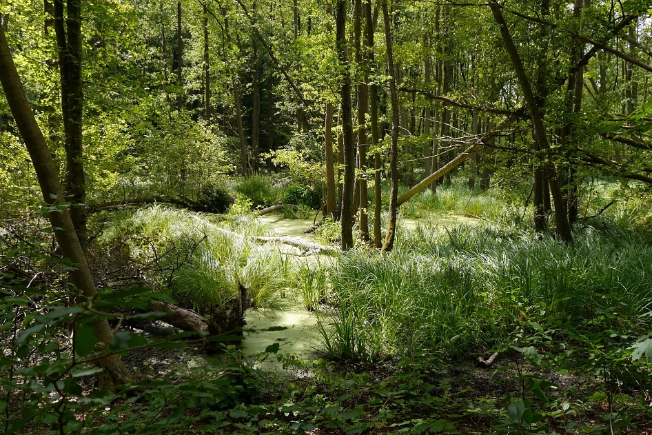 Wandern im Naturpark