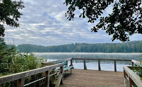 Steg&nbsp;&copy;&nbsp;Amt Märkische Schweiz