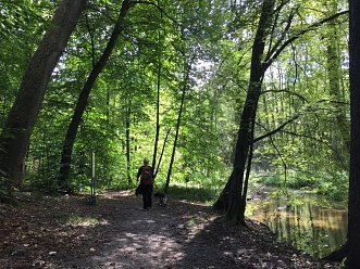 WiS&nbsp;&copy;&nbsp;Amt Märkische Schweiz