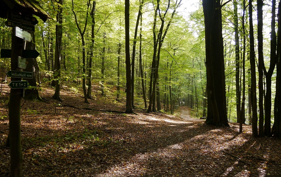 Wegweiser_Giebelpfuhl